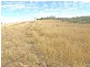 Thangool QLD 4716