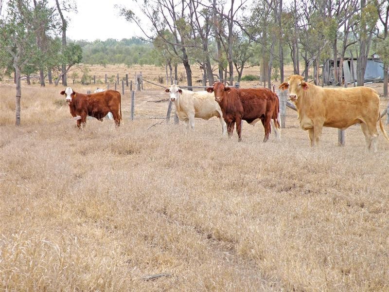 Orange Creek QLD 4715