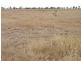 Orange Creek QLD 4715