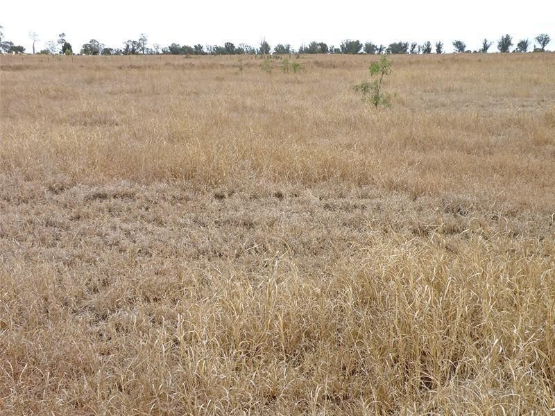Orange Creek QLD 4715