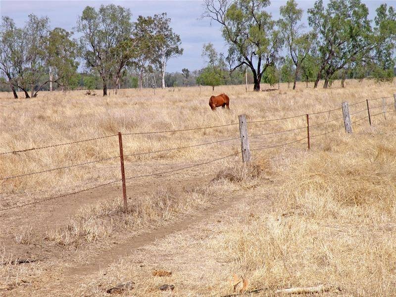 Mount Murchison QLD 4715