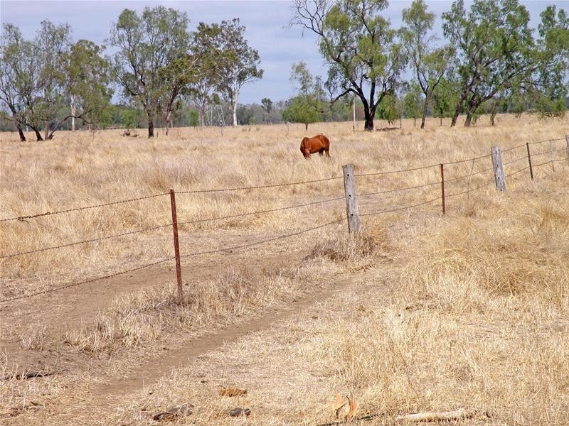 Biloela QLD 4715