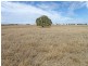 Orange Creek QLD 4715
