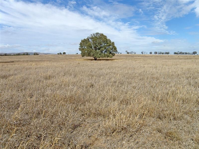 Orange Creek QLD 4715