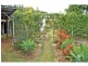 Biloela QLD 4715