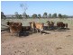 Goovigen QLD 4702
