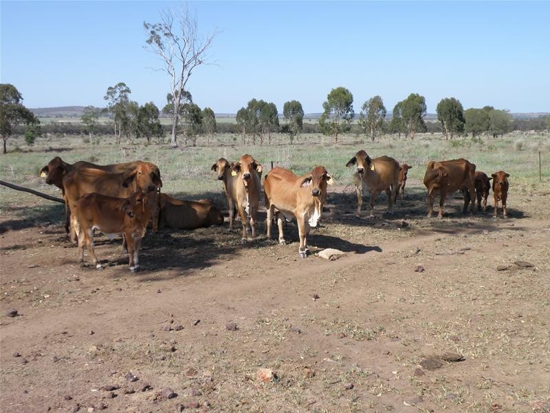 Goovigen QLD 4702