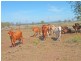 Goovigen QLD 4702