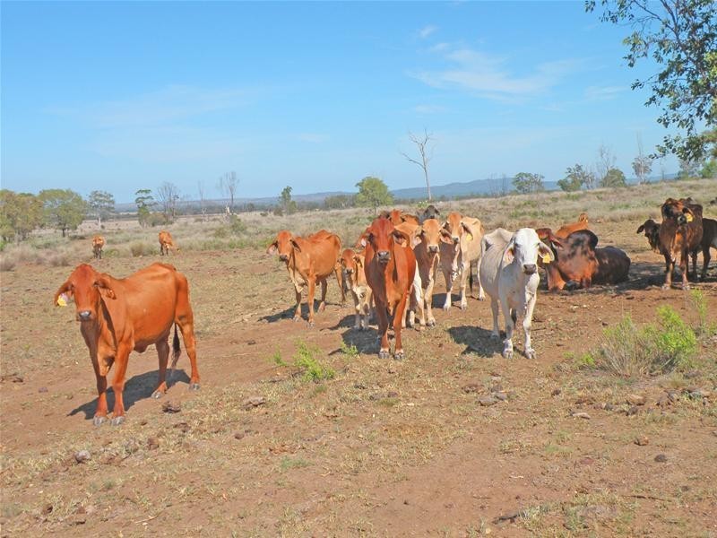 Goovigen QLD 4702