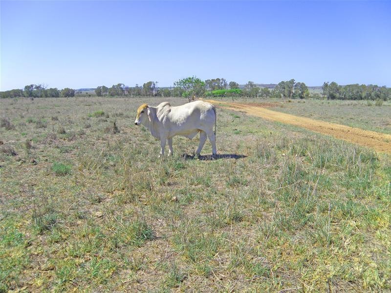 Goovigen QLD 4702
