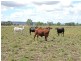 649 Valentine Plains Road, Biloela QLD 4715