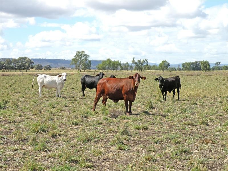 649 Valentine Plains Road, Biloela QLD 4715