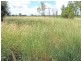 649 Valentine Plains Road, Biloela QLD 4715