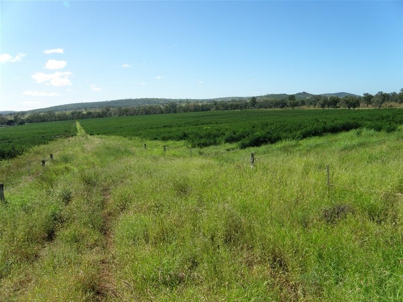 Biloela QLD 4715