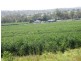 Biloela QLD 4715