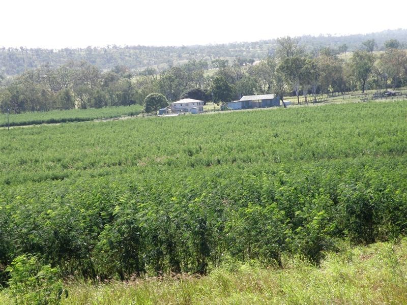 Biloela QLD 4715