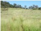 Biloela QLD 4715