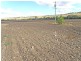 38521 Burnett Highway, Thangool QLD 4716