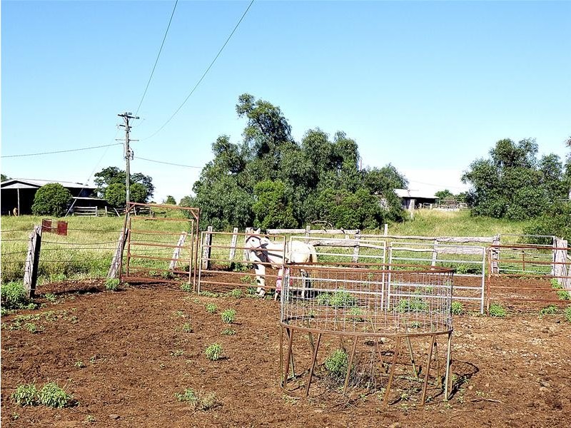 Thangool QLD 4716