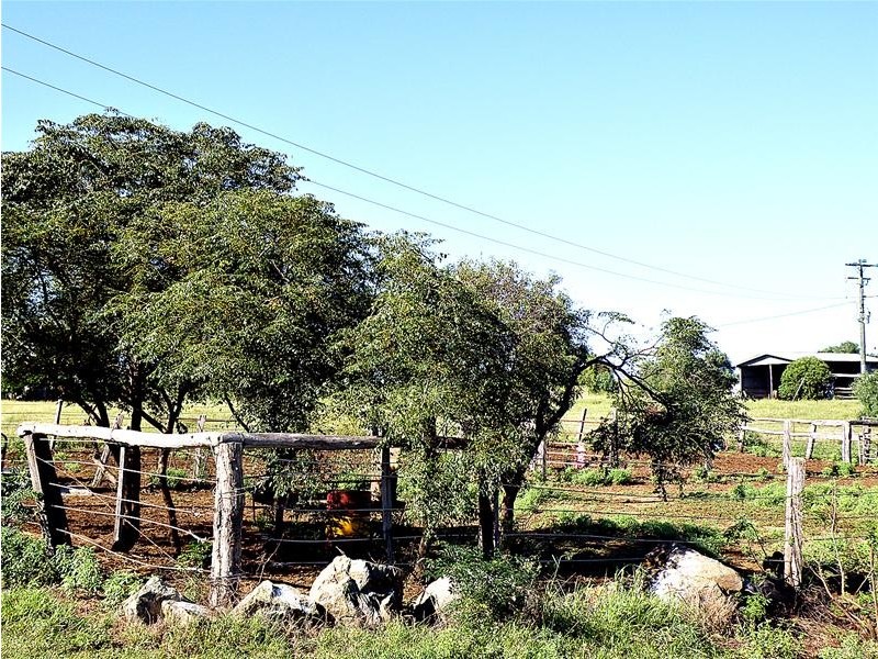 Thangool QLD 4716