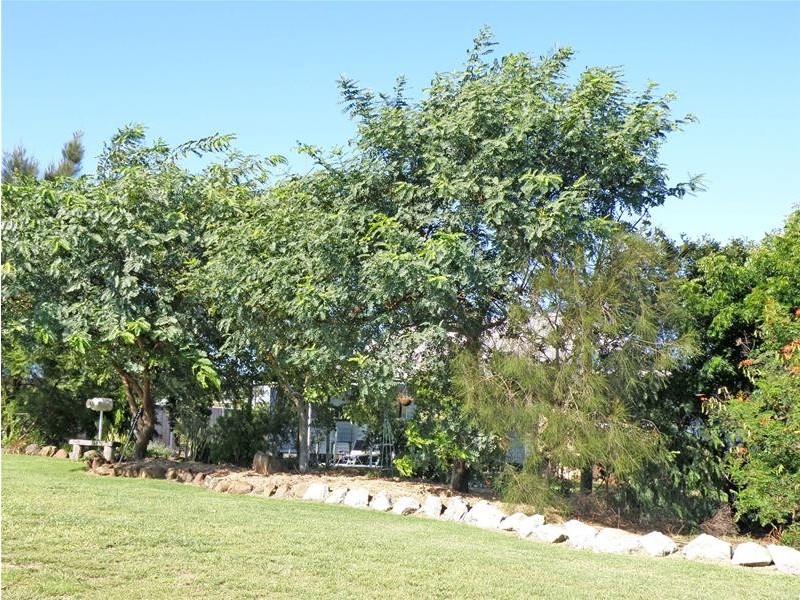 Thangool QLD 4716