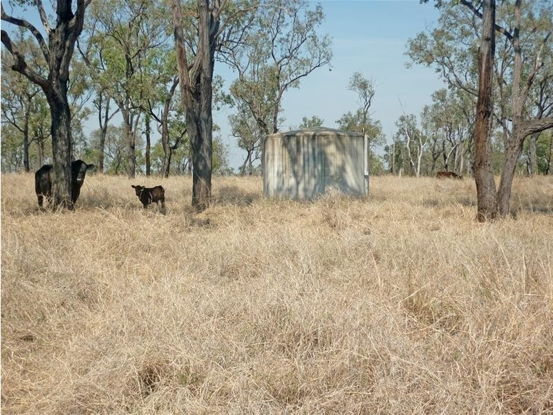 Lawgi Dawes QLD 4716