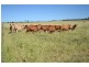Orange Creek QLD 4715