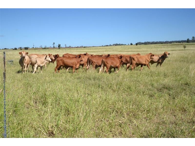 Orange Creek QLD 4715