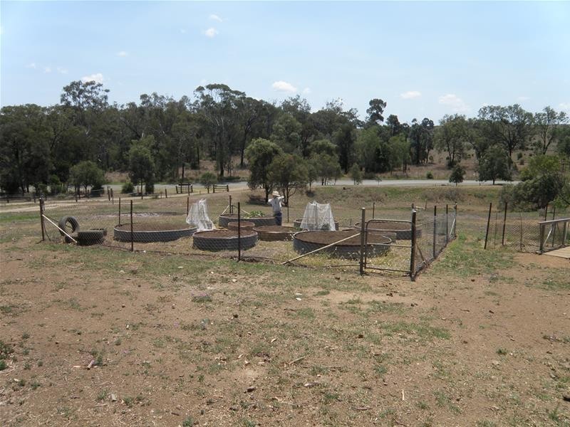 491 Crowsdale Camboon Road, Prospect QLD 4715