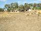 Biloela QLD 4715