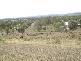 Lot 37 Valley View Drive, Biloela QLD 4715