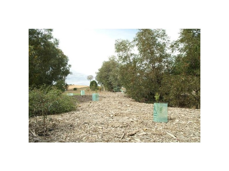 45 Brigalow Lakes Estate, Biloela QLD 4715