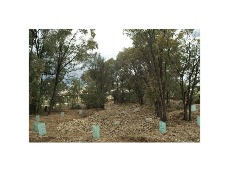 45 Brigalow Lakes Estate, Biloela QLD 4715