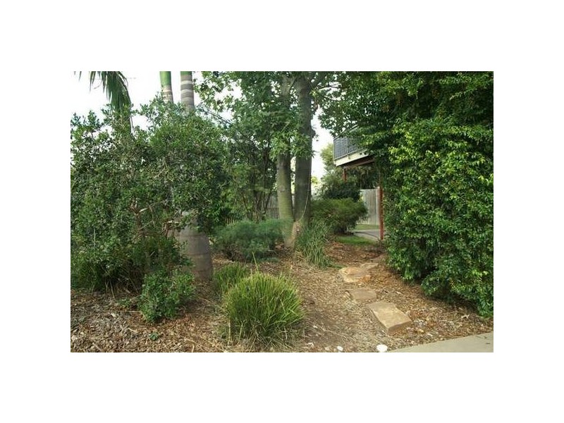 3 Beak Place, Biloela QLD 4715