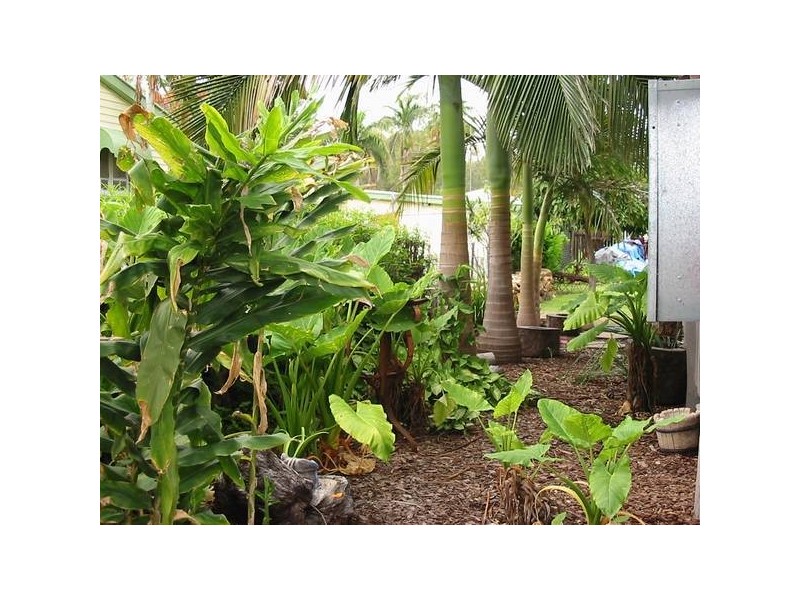 5 Sixth Ave, Theodore QLD 4719