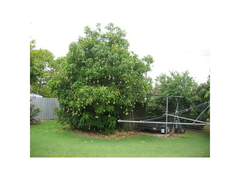 Moura QLD 4718