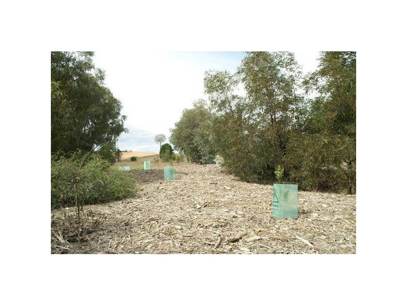 45 Brigalow Lakes Estate, Biloela QLD 4715