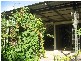 16 Castle Street, Theodore QLD 4719