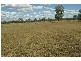 Meissners Road, Thangool QLD 4716