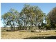 Biloela QLD 4715