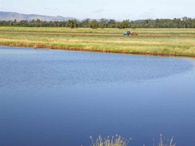 Biloela QLD 4715