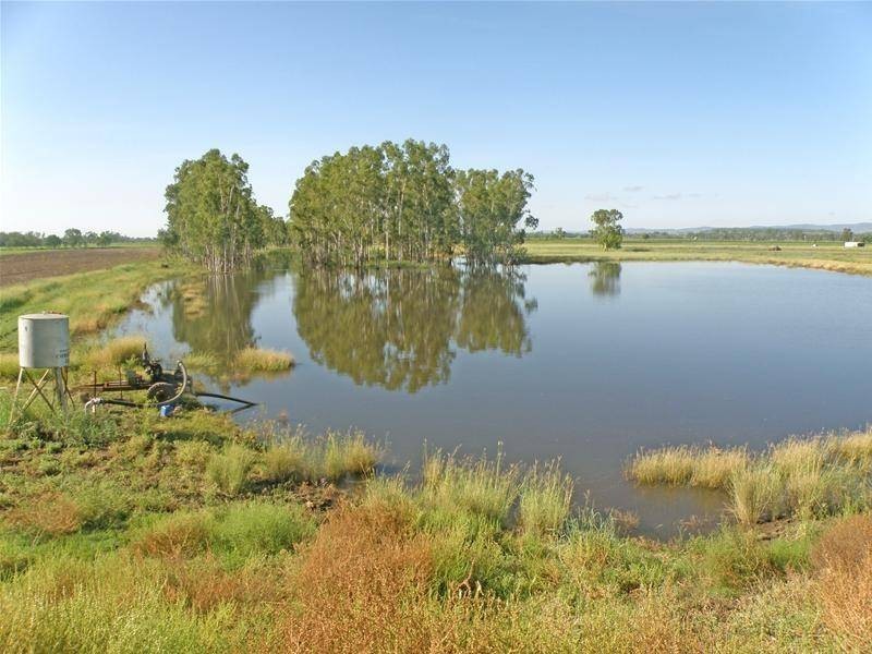 Biloela QLD 4715