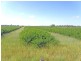 Biloela QLD 4715