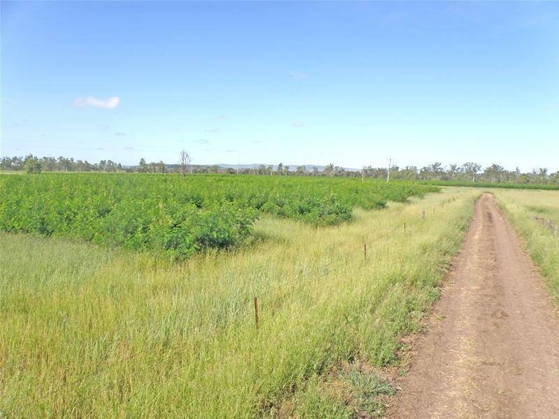 Biloela QLD 4715