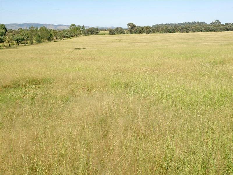 Biloela QLD 4715