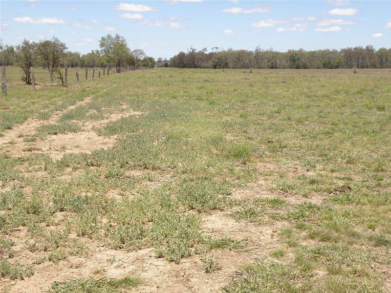 Goovigen QLD 4702