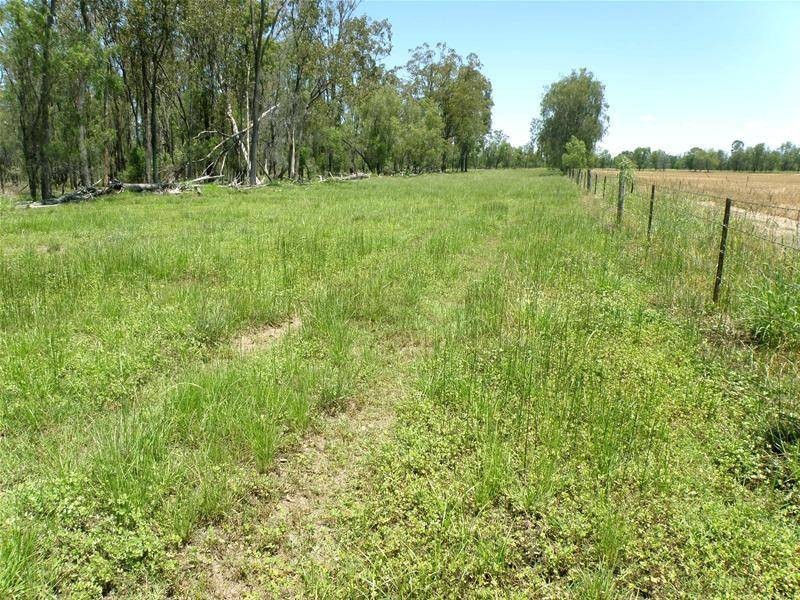 Goovigen QLD 4702