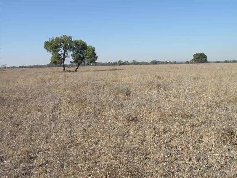 Goovigen QLD 4702