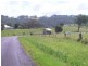 751 Rock Valley Road, Rock Valley NSW 2480