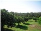 1 Pearson Road, Mcleans Ridges NSW 2480